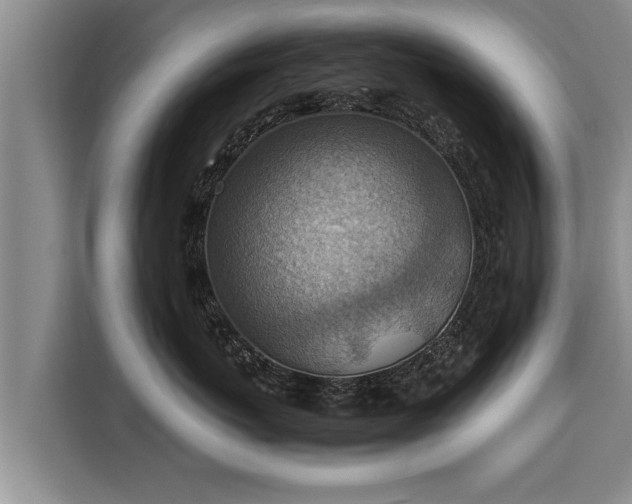 X0000116060767200911271242
