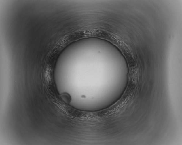 X0000116060770200911271241