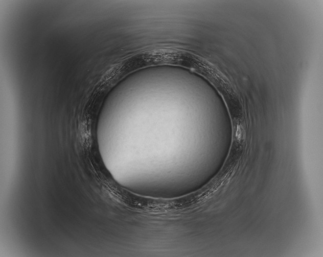 X0000116060771200911271241