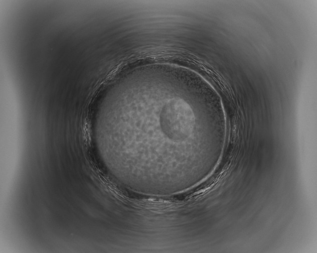 X0000116060772200911271241