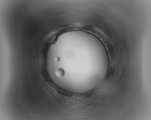 X0000116060773200911271241