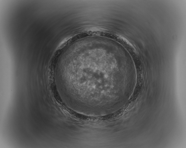 X0000116060775200911271241