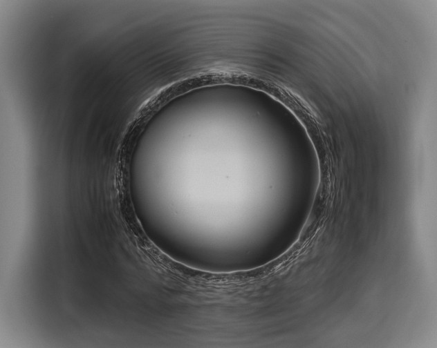 X0000116060776200911271241
