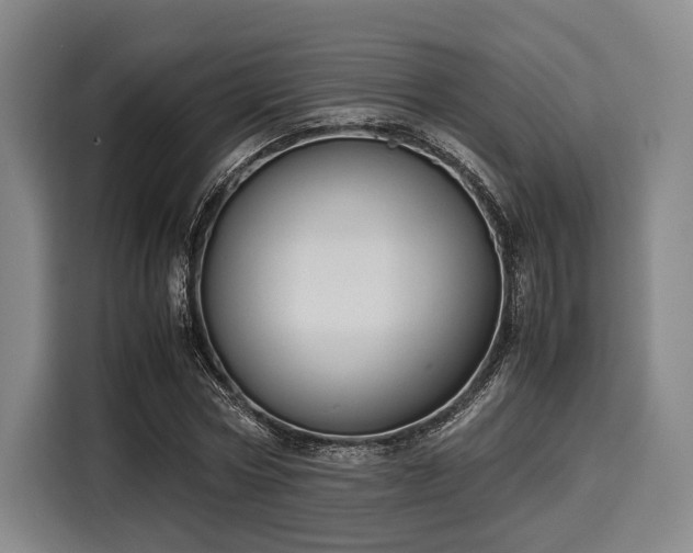 X0000116060778200911271241