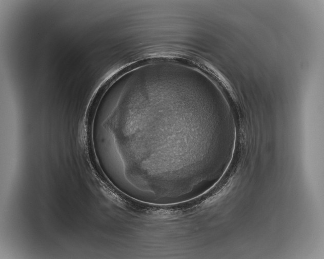 X0000116060779200911271241