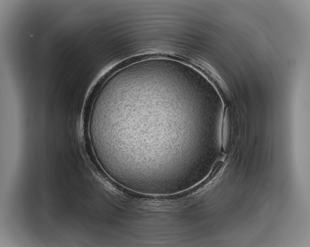 X0000116060780200911271241