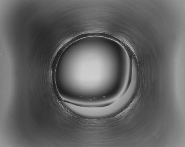 X0000116060781200911271241