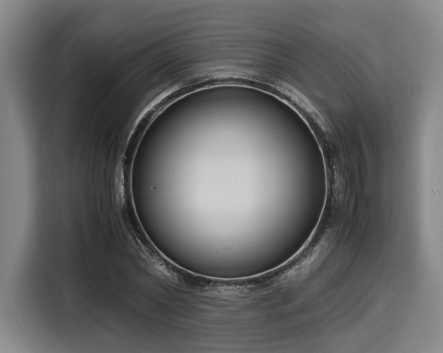 X0000116060782200911271241