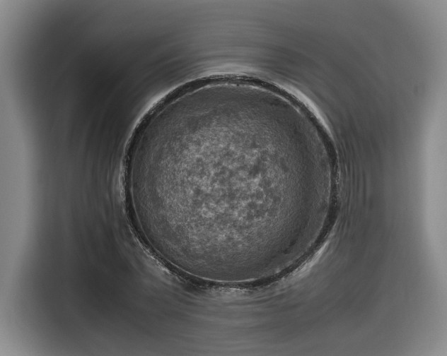 X0000116060783200911271241
