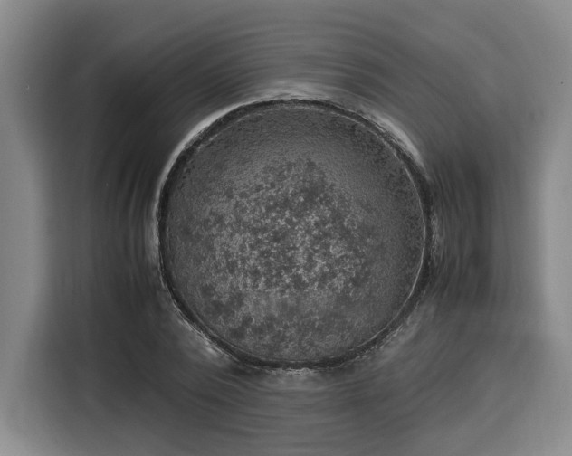 X0000116060784200911271241