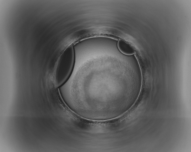 X0000116060785200911271241