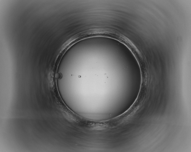 X0000116060786200911271241