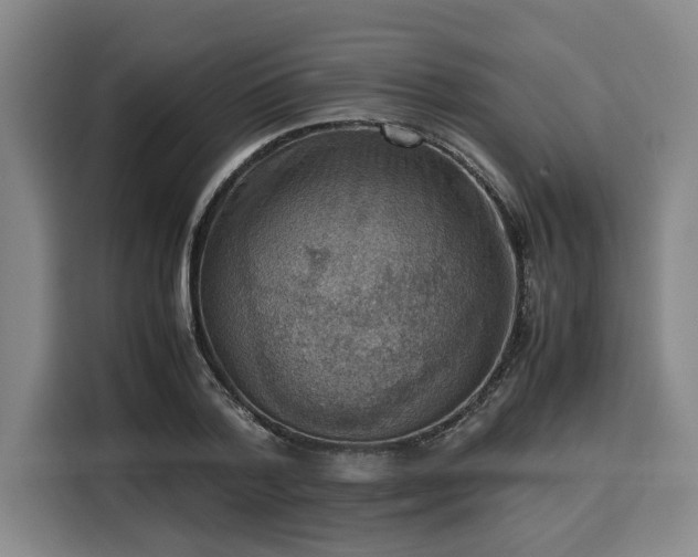 X0000116060788200911271241