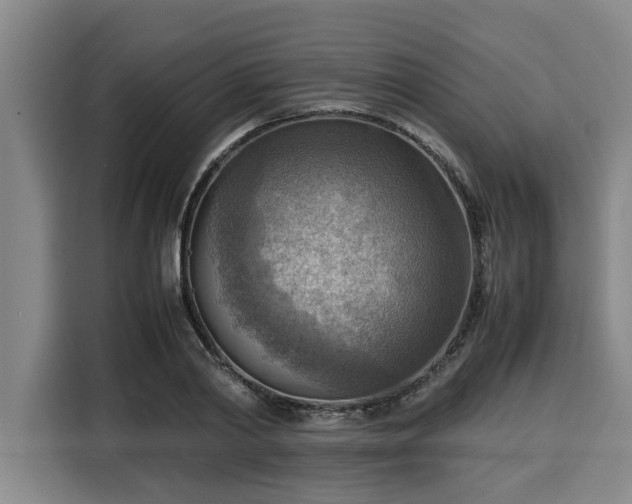 X0000116060790200911271241