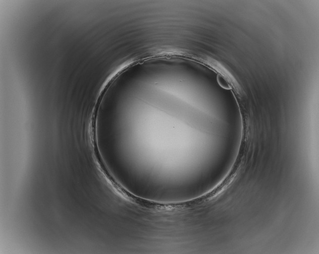 X0000116060806200911271241