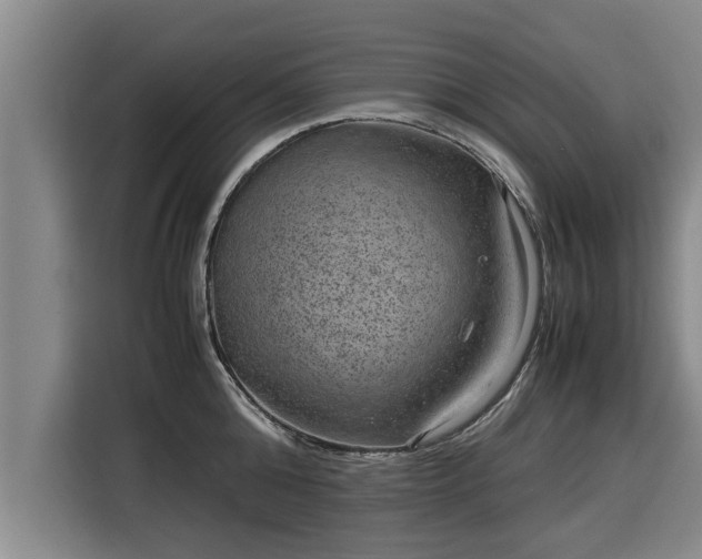 X0000116060808200911271241