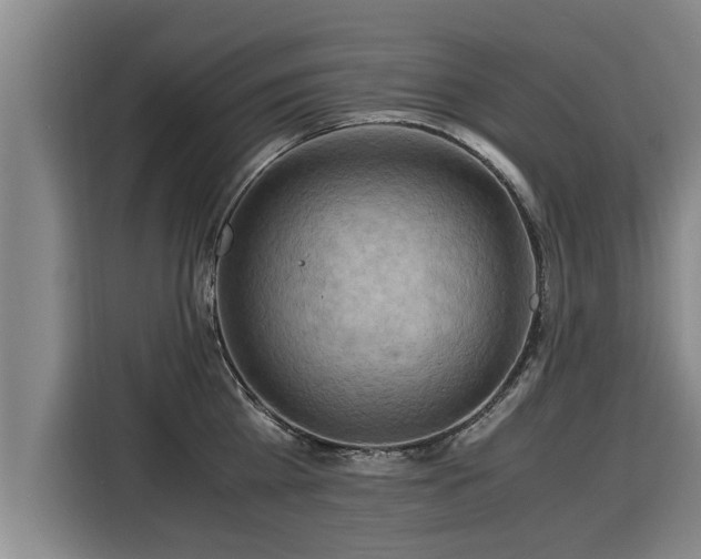 X0000116060809200911271241