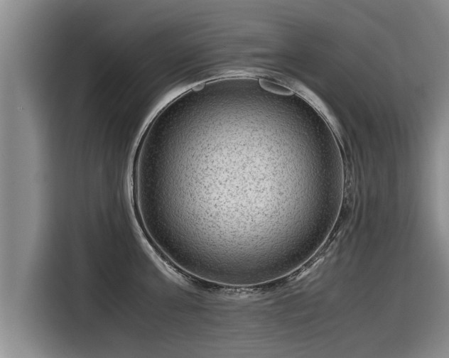 X0000116060811200911271241