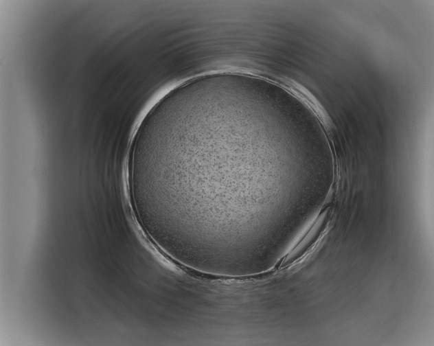 X0000116060812200911271241