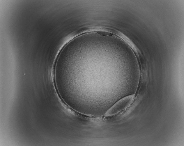 X0000116060813200911271241