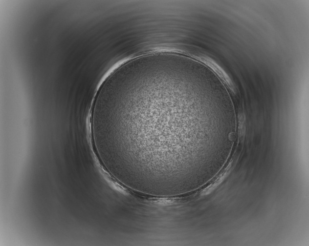 X0000116060814200911271241