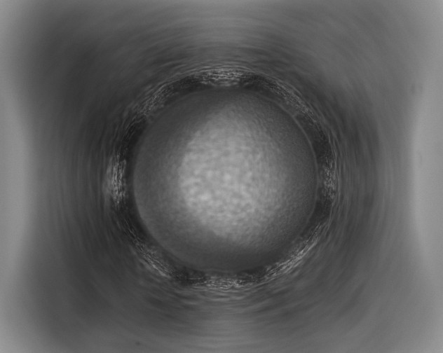 X0000116060818200911271240