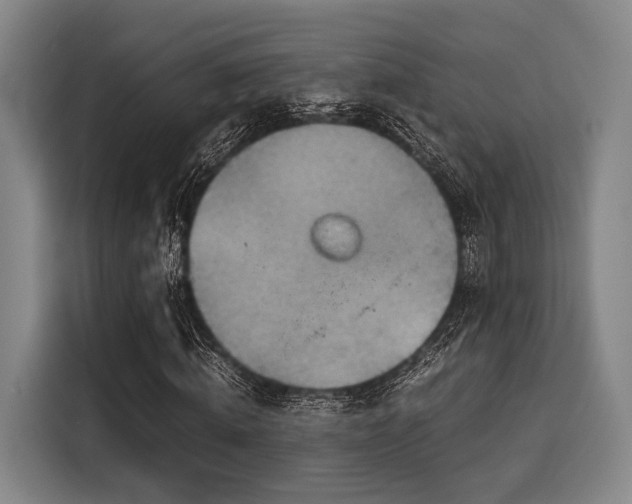 X0000116060820200911271240