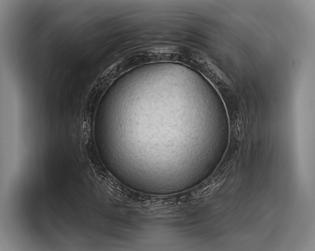 X0000116060821200911271240