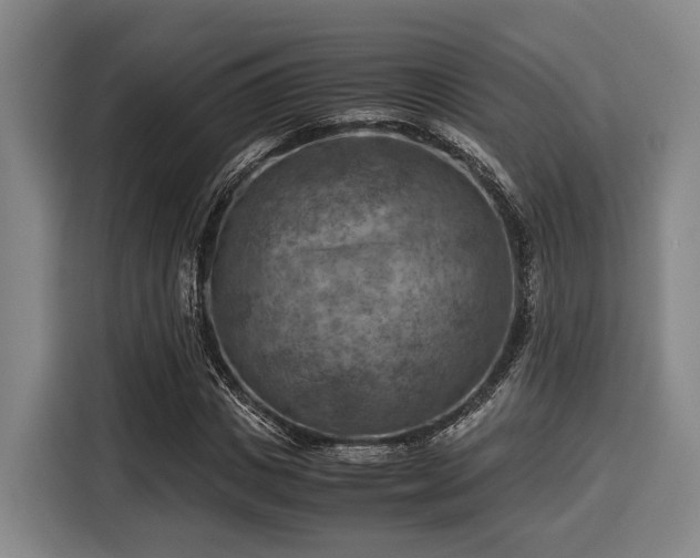 X0000116060825200911271240