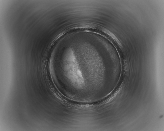 X0000116060826200911271240