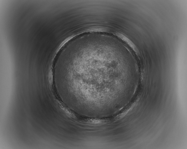 X0000116060829200911271240