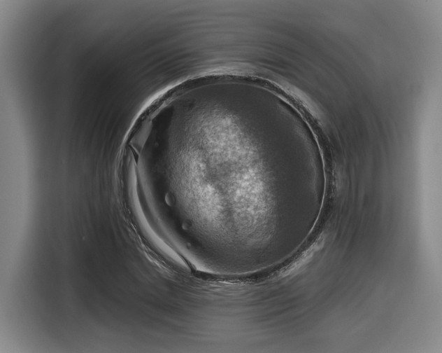 X0000116060830200911271240