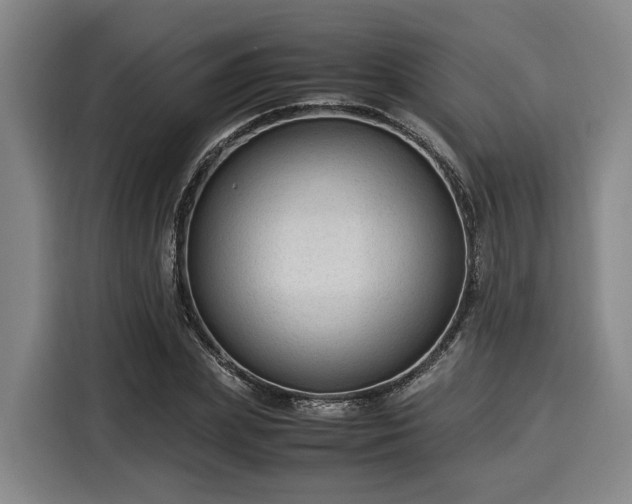 X0000116060831200911271240