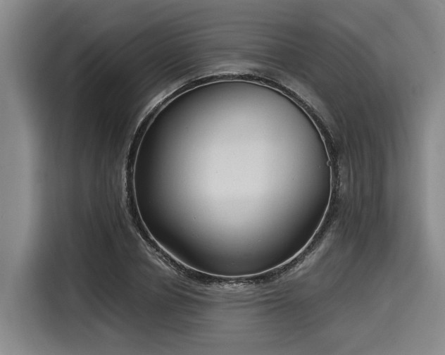 X0000116060834200911271240