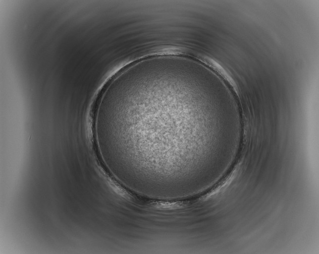 X0000116060835200911271241