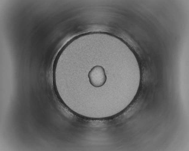 X0000116060836200911271241