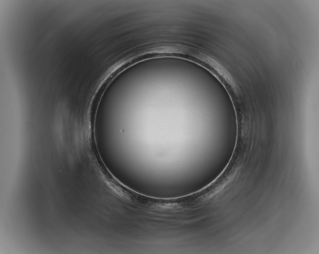 X0000116060837200911271241
