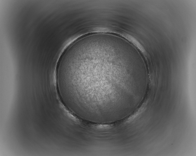 X0000116060839200911271241