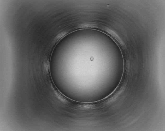 X0000116060841200911271241