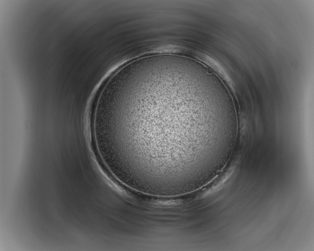 X0000116060843200911271241