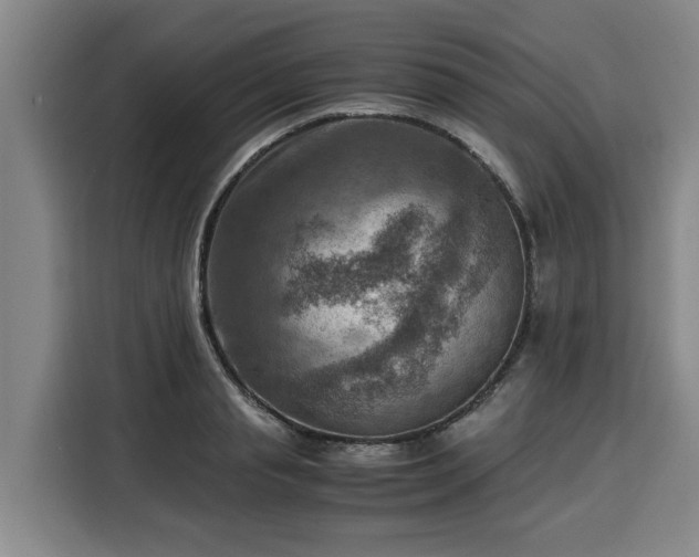 X0000116060845200911271241