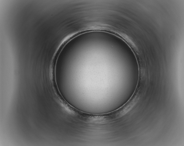 X0000116060846200911271241
