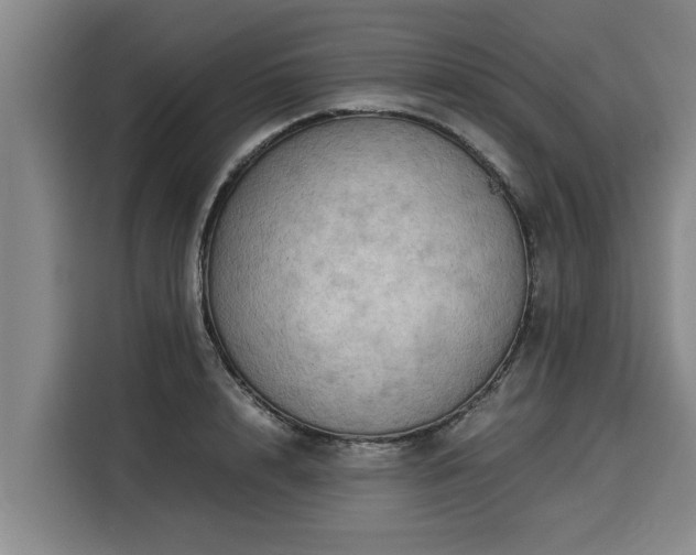 X0000116060848200911271241
