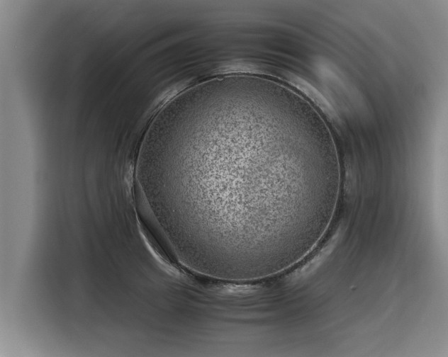 X0000116060849200911271241