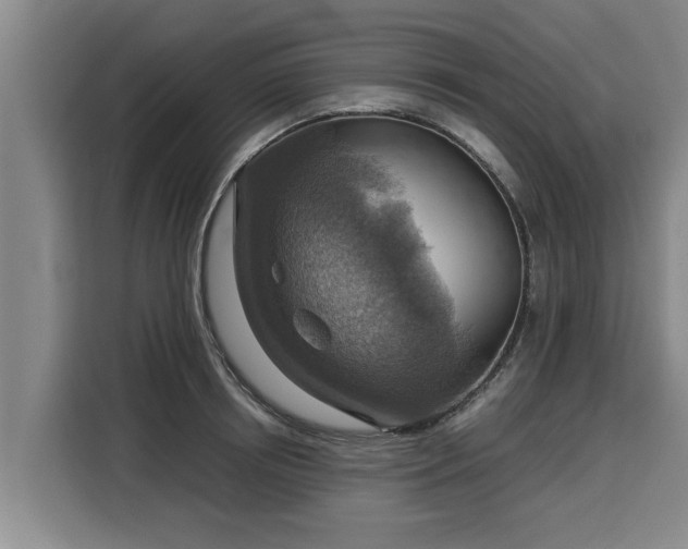 X0000116060850200911271241