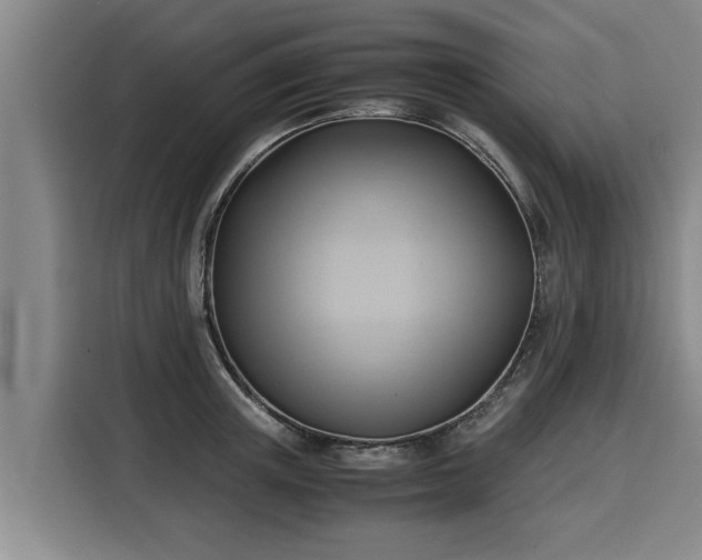 X0000116060851200911271241