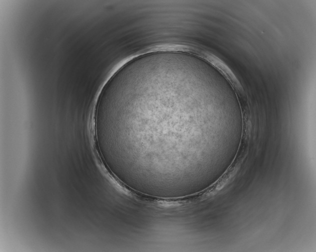X0000116060852200911271241