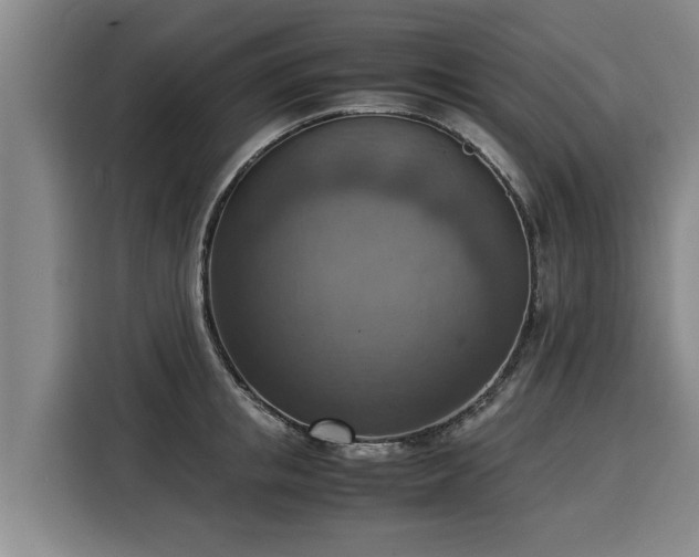X0000116060853200911271241
