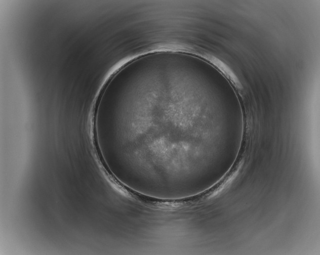 X0000116060854200911271241