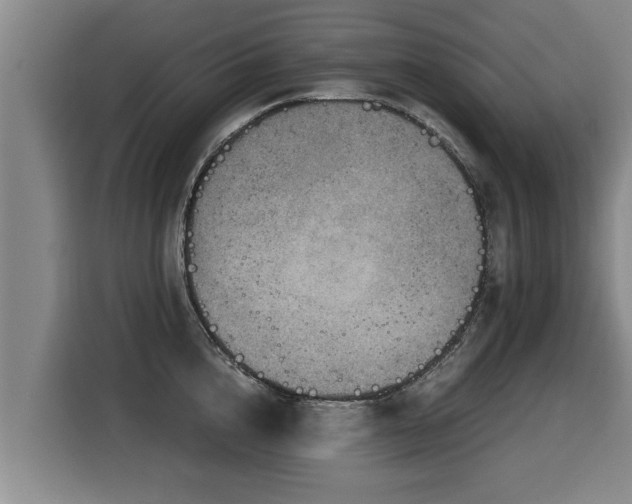X0000116060856200911271241